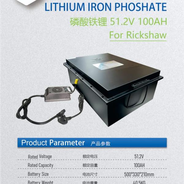 Lithium Iron Phoshate Battery 51.2V 100AH